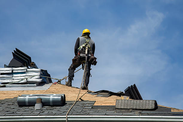 Professional Storm Damage Roof Repair technician working in Bismarck, MO